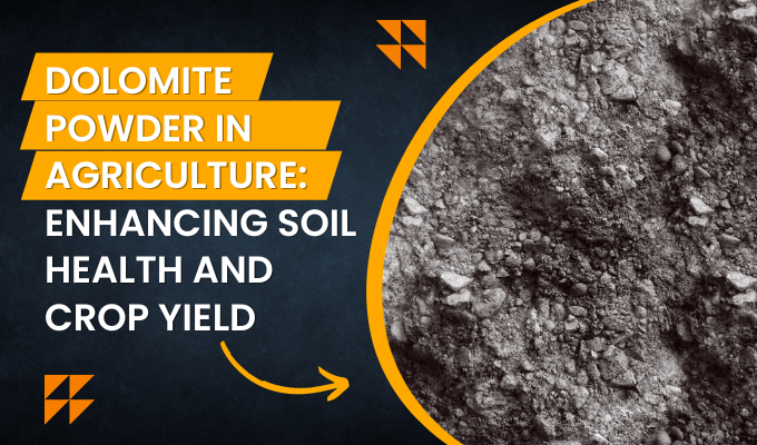 Dolomite Powder in Agriculture: Enhancing Soil Health and Crop Yield